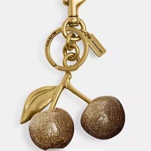 Coach Cherry Bag Charm